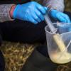 Colostrum Sample Cup