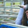 Battery Powered Livestock Dosing Gun
