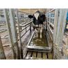 Stainless Steel Cattle Footbath 