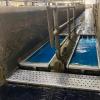 Cattle Hoof Health Management System