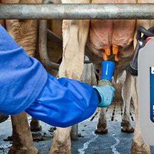 Teat Dip Solution - SHEWUYOU Livestock Equipment
