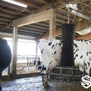 Automatic Cow Brush - SHEWUYOU Livestock Equipment