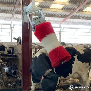 Electric Cow Brush for Dairy Farms - SHEWUYOU Livestock Equipment