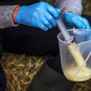 Colostrum Sample Cup - SHEWUYOU Livestock Equipment