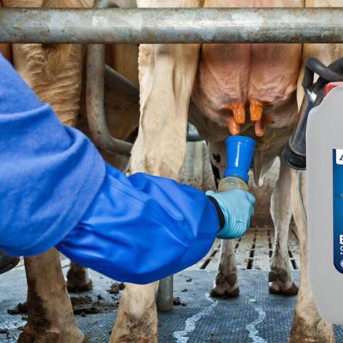 Teat Dip Solution - SHEWUYOU Livestock Equipment
