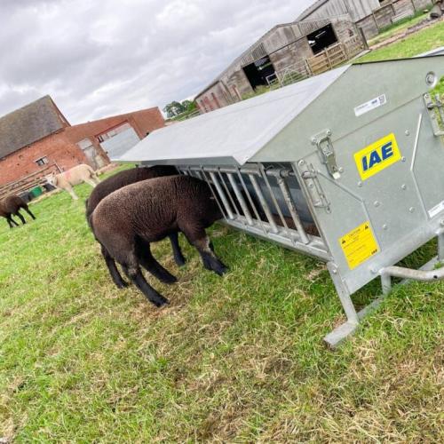 Lamb Creep Feeder - SHEWUYOU Livestock Equipment