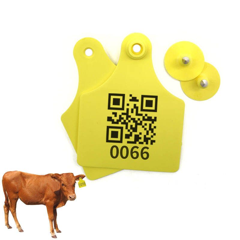 QR code cattle ear tag for digital livestock tracking
