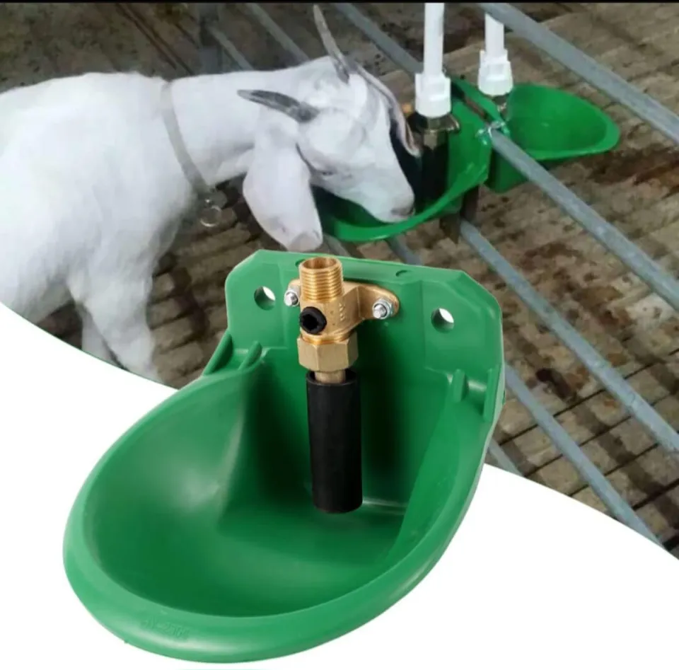 goat pressure valve drinking bowl