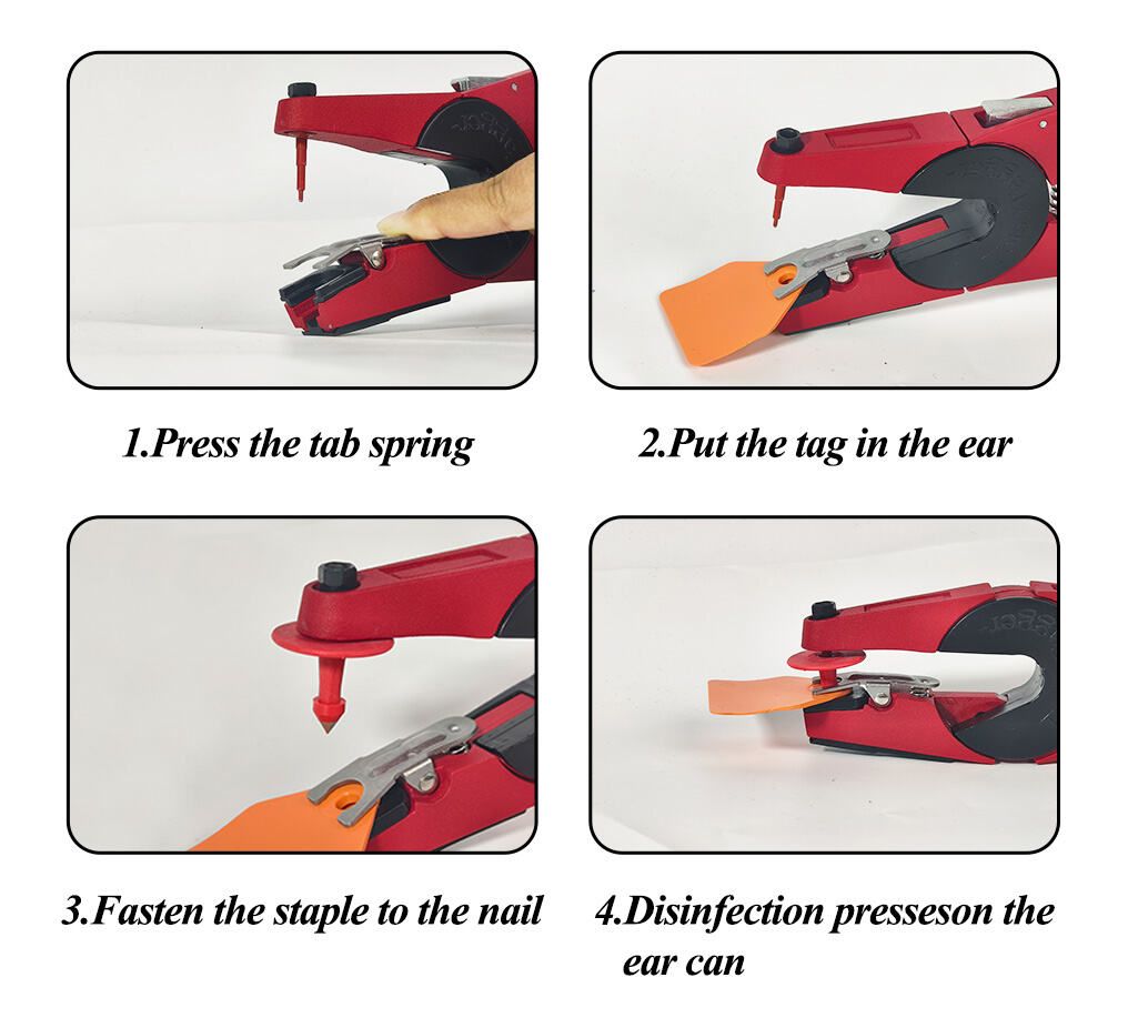 cattle ear tag applicator installation steps