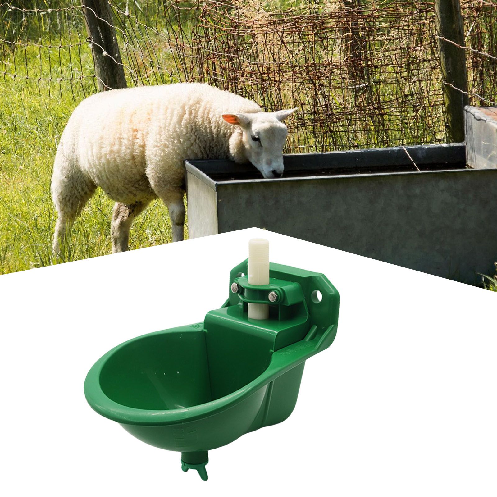 automatic sheep drinker installed for livestock