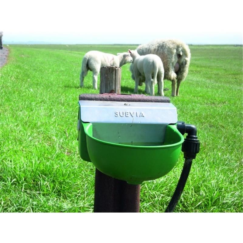 automatic sheep drinker installed in pasture
