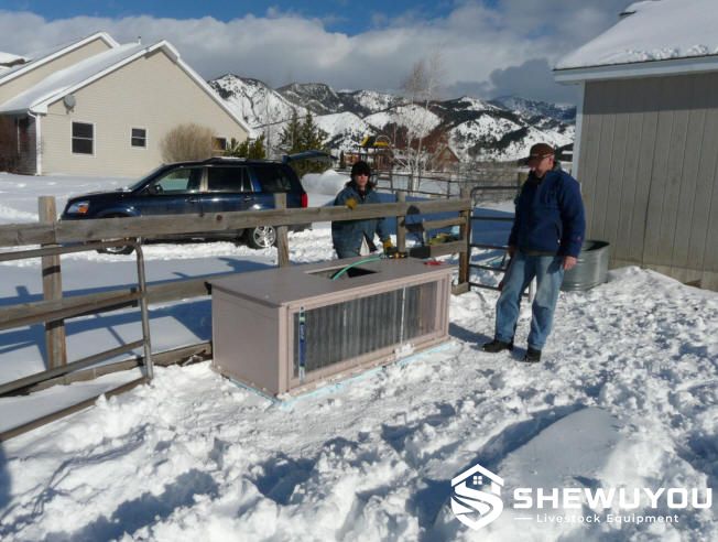 Solar heated livestock water trough with insulated enclosure