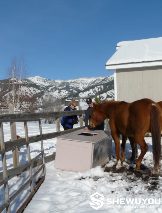 Solar heated livestock water trough in winter farm application