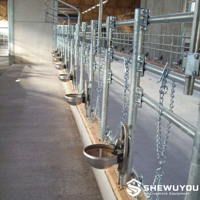 Stainless steel cattle drinking bowl installation