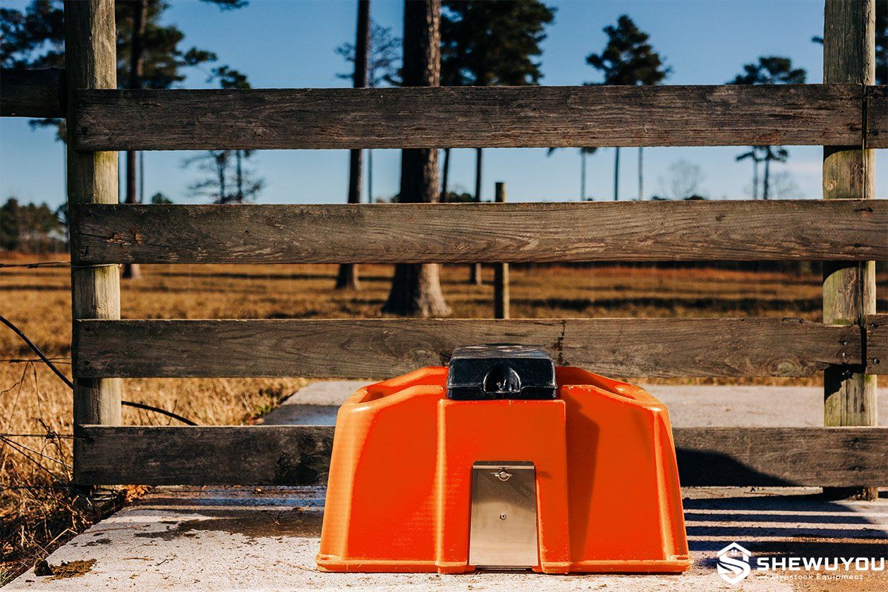 low-profile electric heated sheep waterer