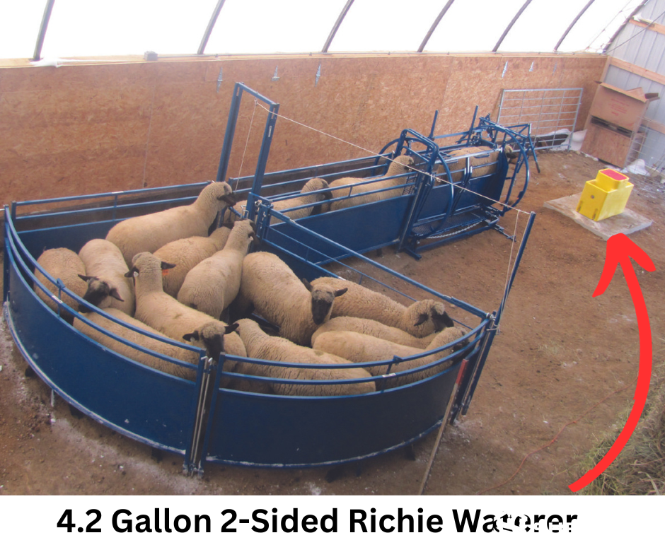fence-line sheep waterer installation
