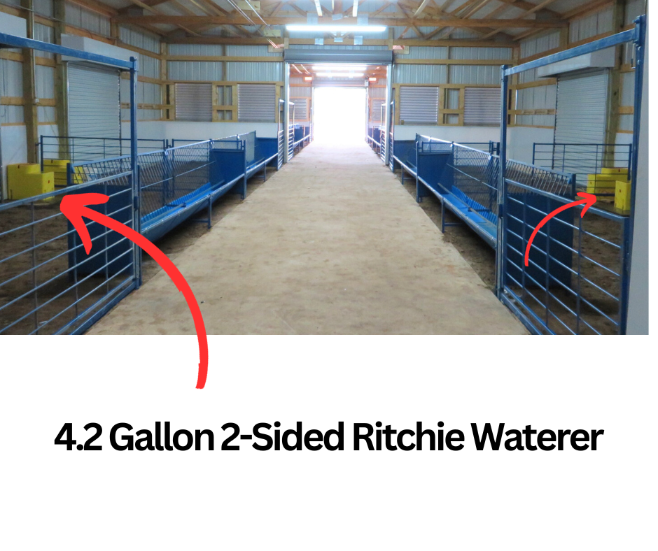 two-sided livestock waterer in sheep barn