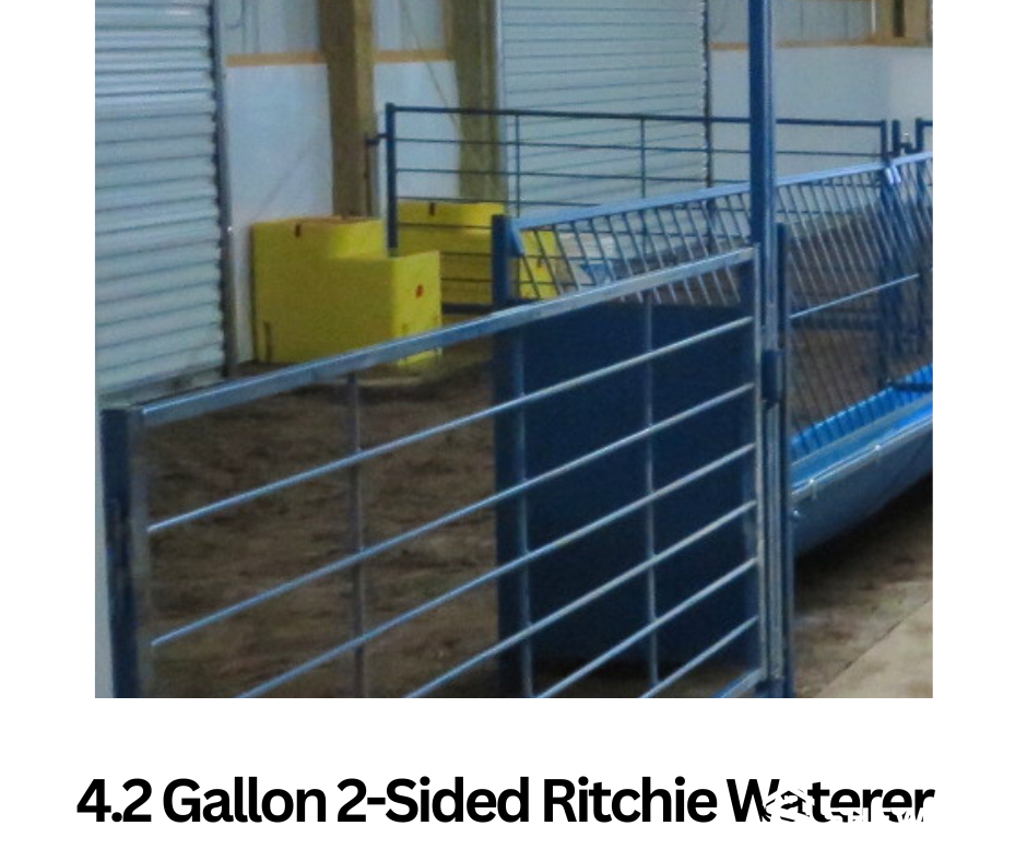 heated sheep waterer installed in livestock pen