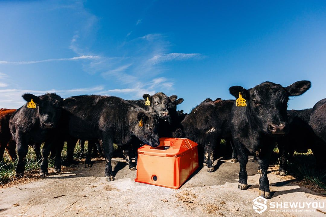 automatic energy-free livestock waterer