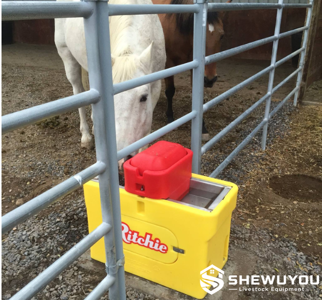 heated livestock waterer installed in cattle pen