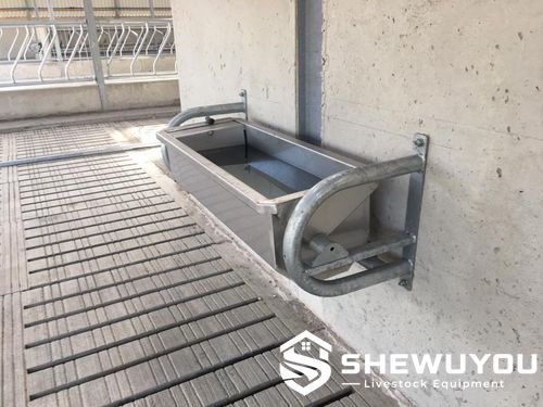 stainless steel calf drinker installed in livestock housing