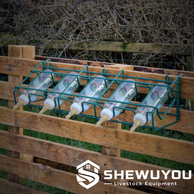 5-bottle lamb feeding rack installed on sheep pen