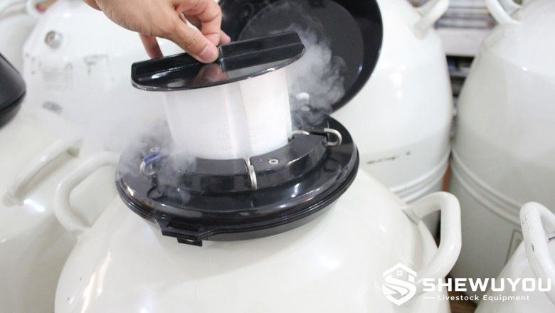 frozen semen liquid nitrogen storage equipment