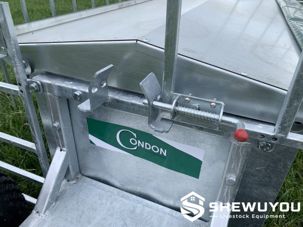 commercial lamb feeding system