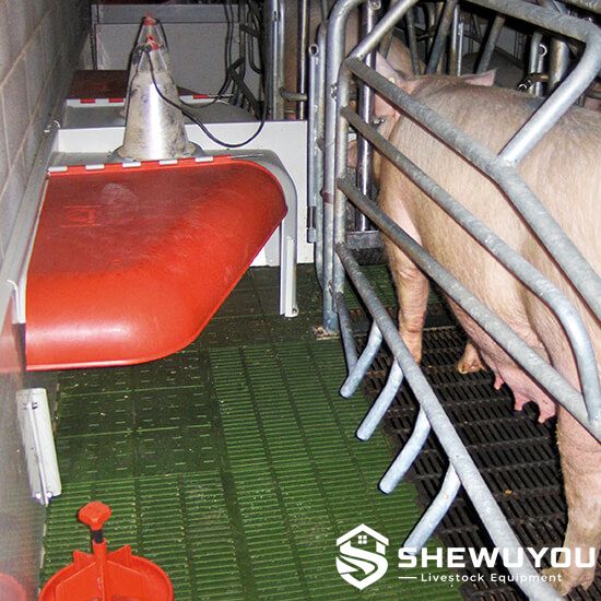 Fixed Piglet Nest Cover Installation