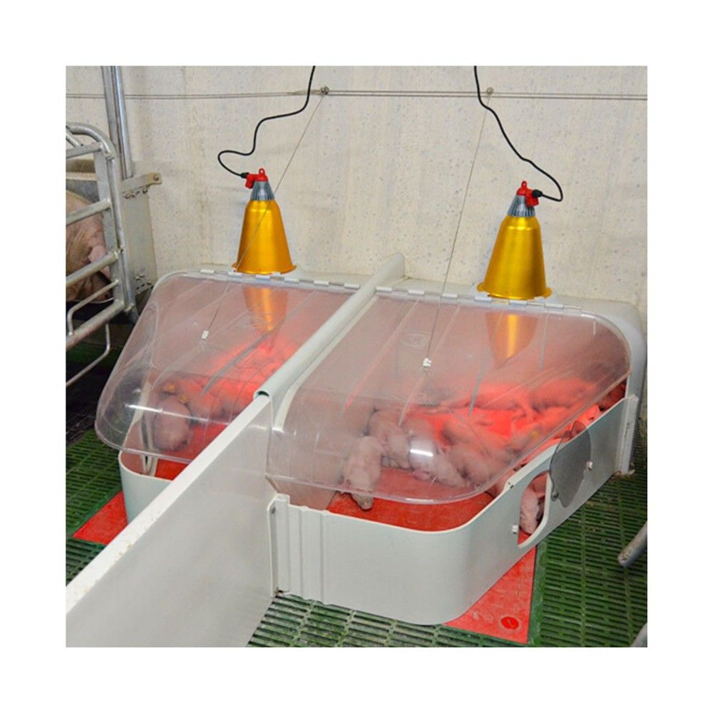 Transparent Fixed Piglet Nest Cover with Heat Lamp