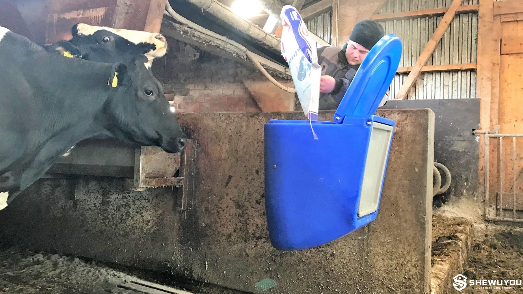 bi-carb mineral feeder for dairy cattle