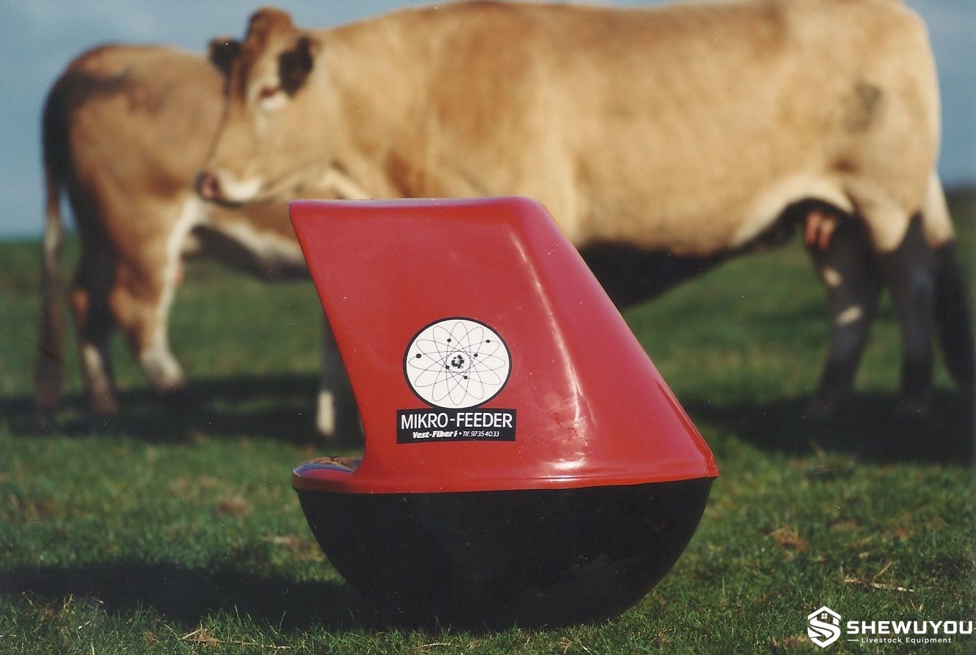 cattle mineral feeder for free choice supplements