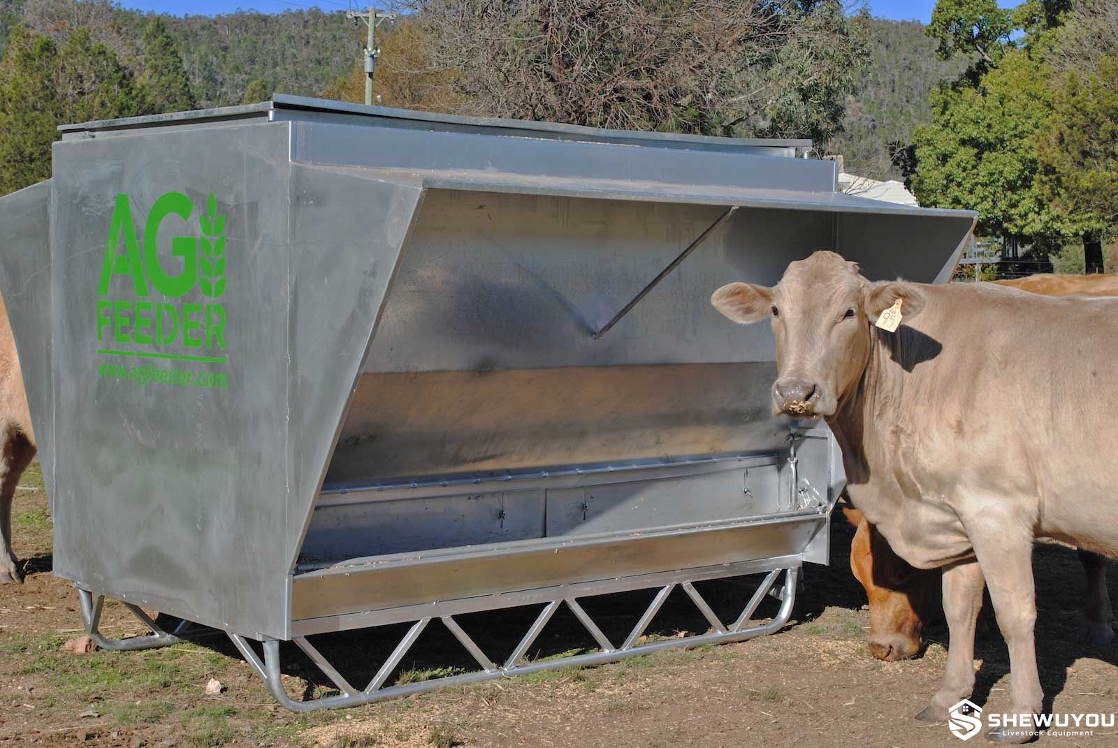 outdoor cattle mineral feeding equipment