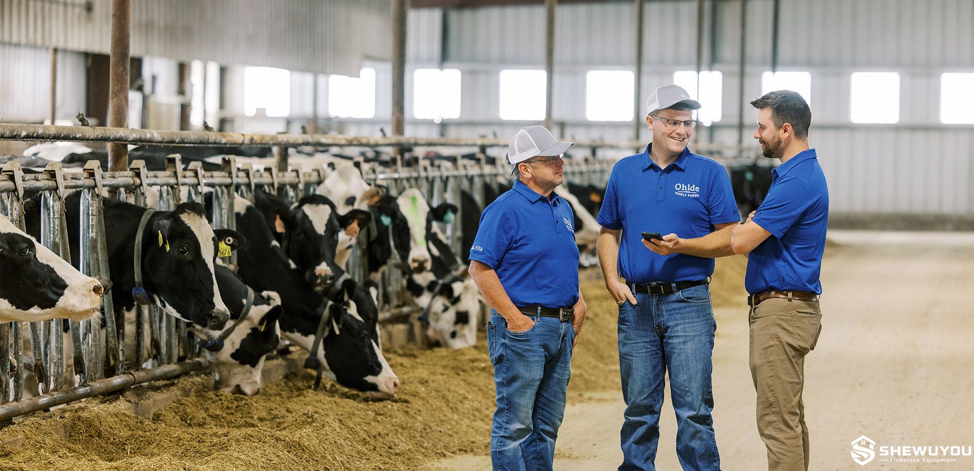 cow monitoring system used in commercial dairy barn