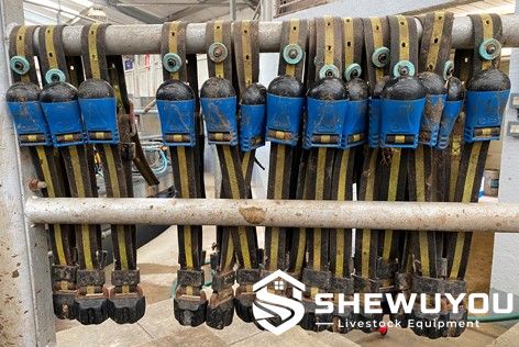 wireless cattle monitoring collars for dairy farm