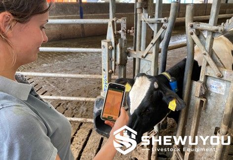 dairy cow monitoring system with mobile heat alerts