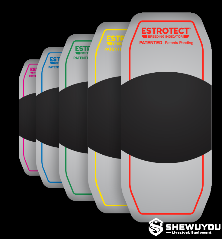 estrus detection patch for cattle breeding