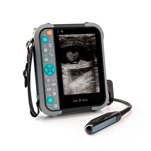 portable bovine ultrasound scanner