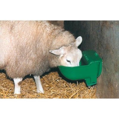 constant level sheep water trough in livestock housing