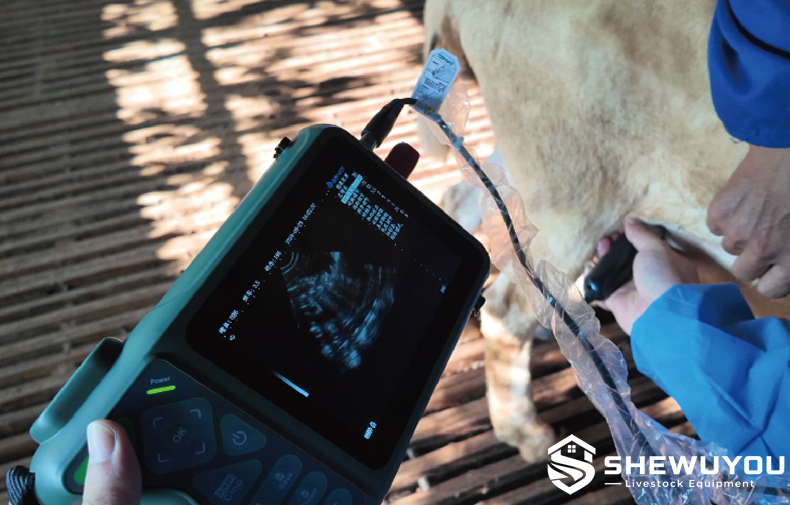 portable cattle pregnancy ultrasound scanner