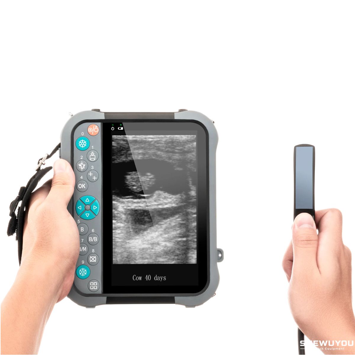 veterinary ultrasound for cattle pregnancy diagnosis