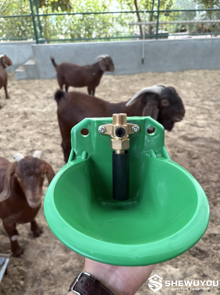 goat drinking bowl with automatic float valve
