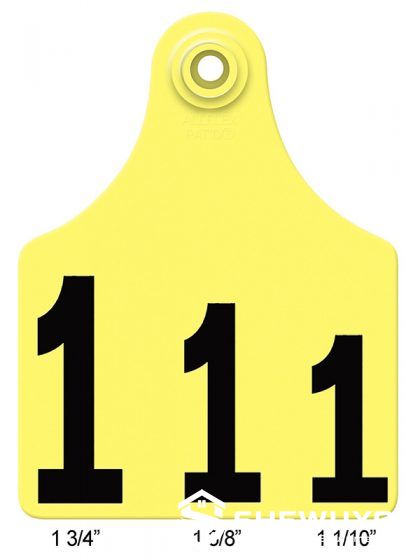 cattle ear tag application