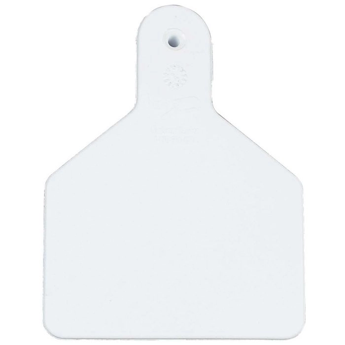 blank cattle ear tag