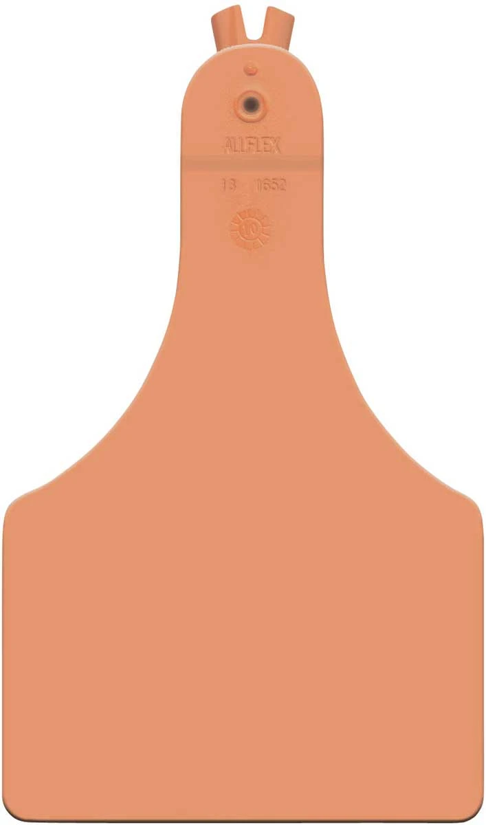orange calf ear tag