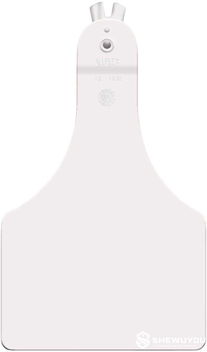 white calf ear tag