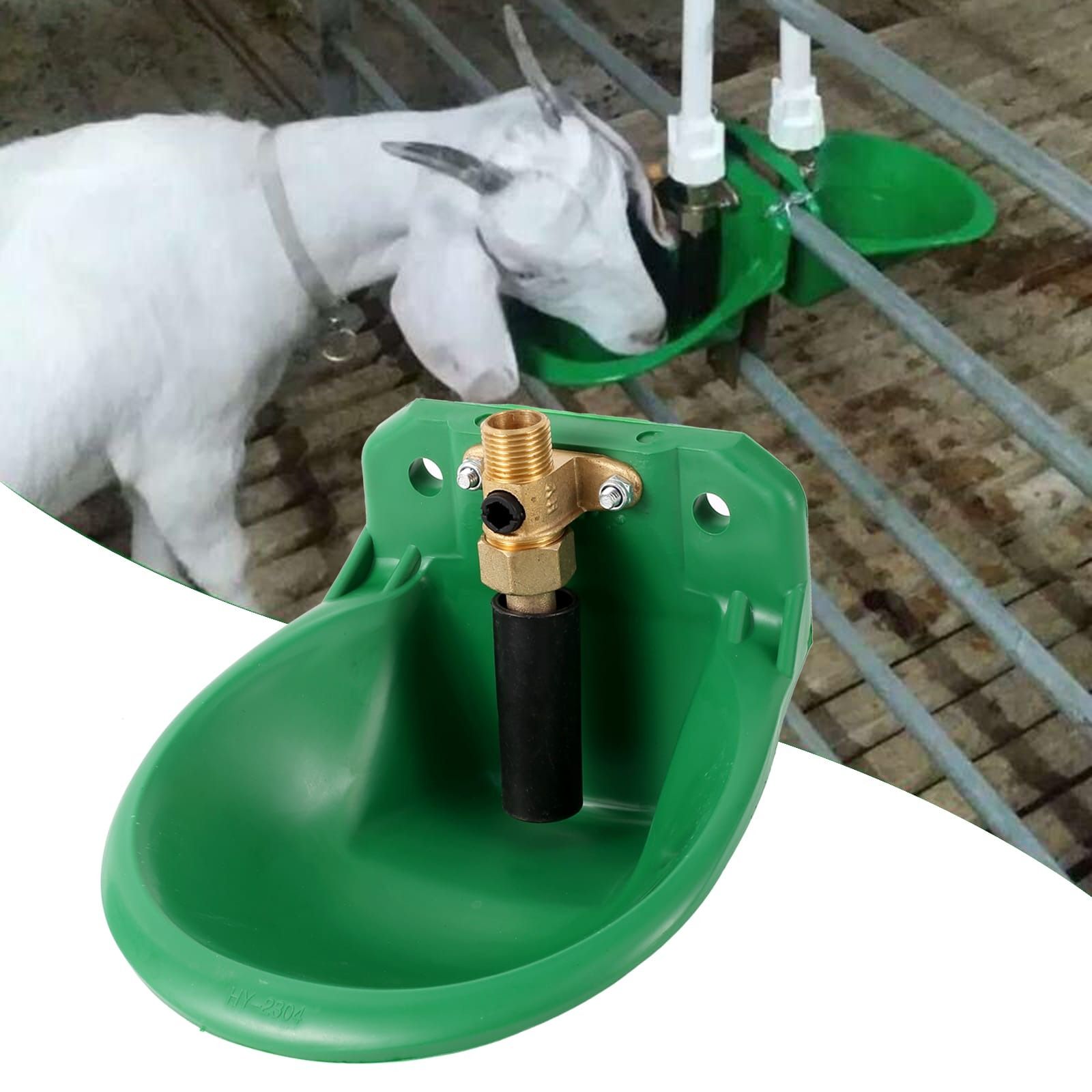 goat drinking from plastic automatic water bowl