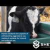 Compact Automatic Sheep Drinker