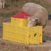 Non-Electric Frost-Free Sheep Drinker