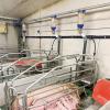 Mobile Piglet Creep Box